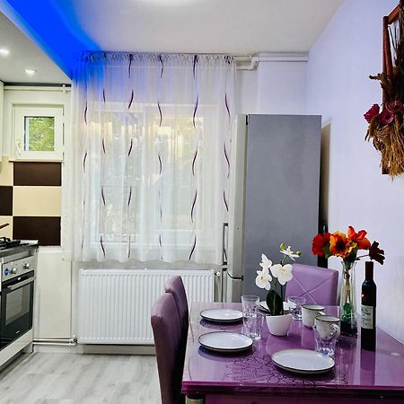 Joy City Stay Spacious Comfortable Timisoara Exterior photo