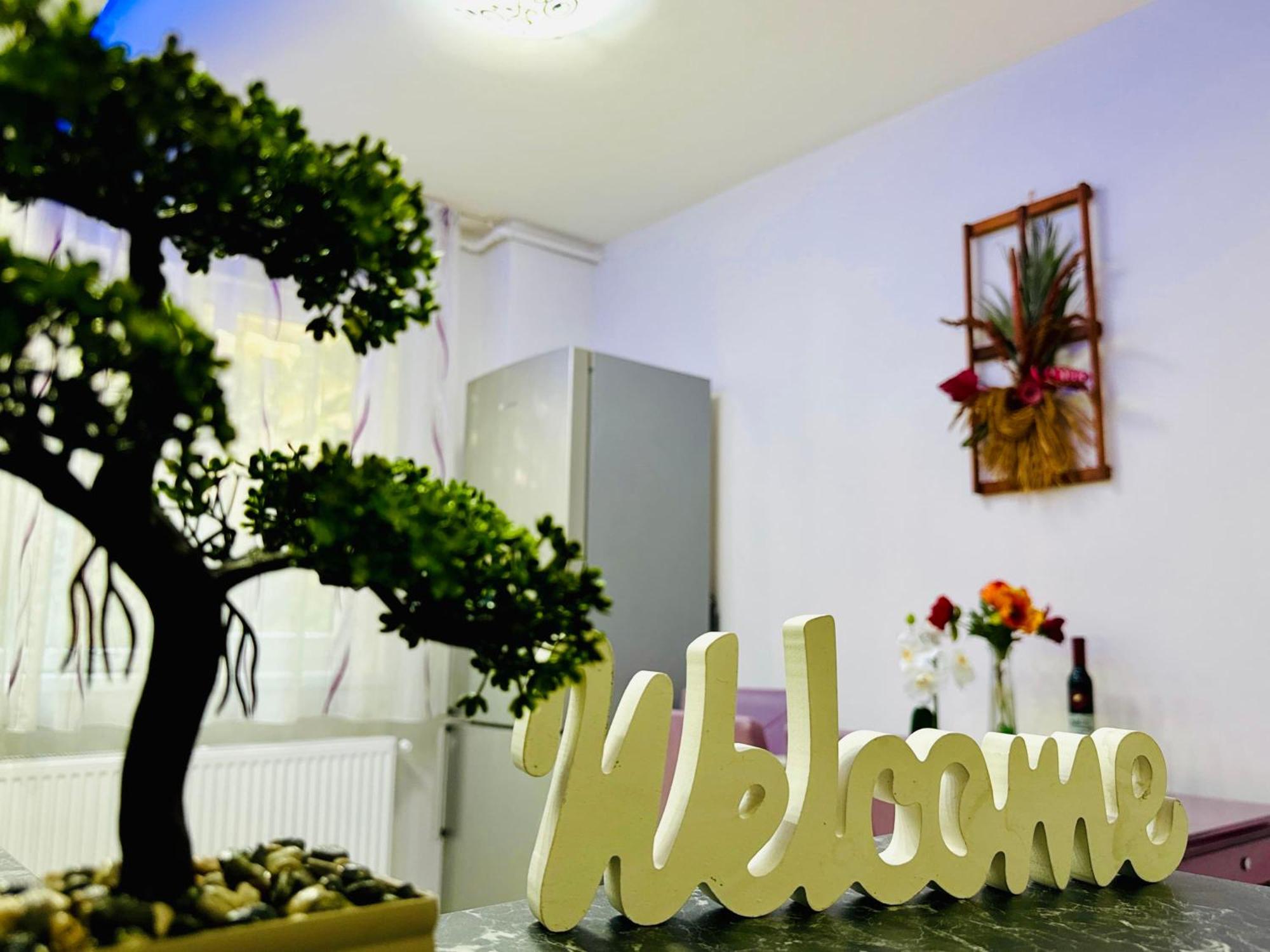 Joy City Stay Spacious Comfortable Timisoara Exterior photo