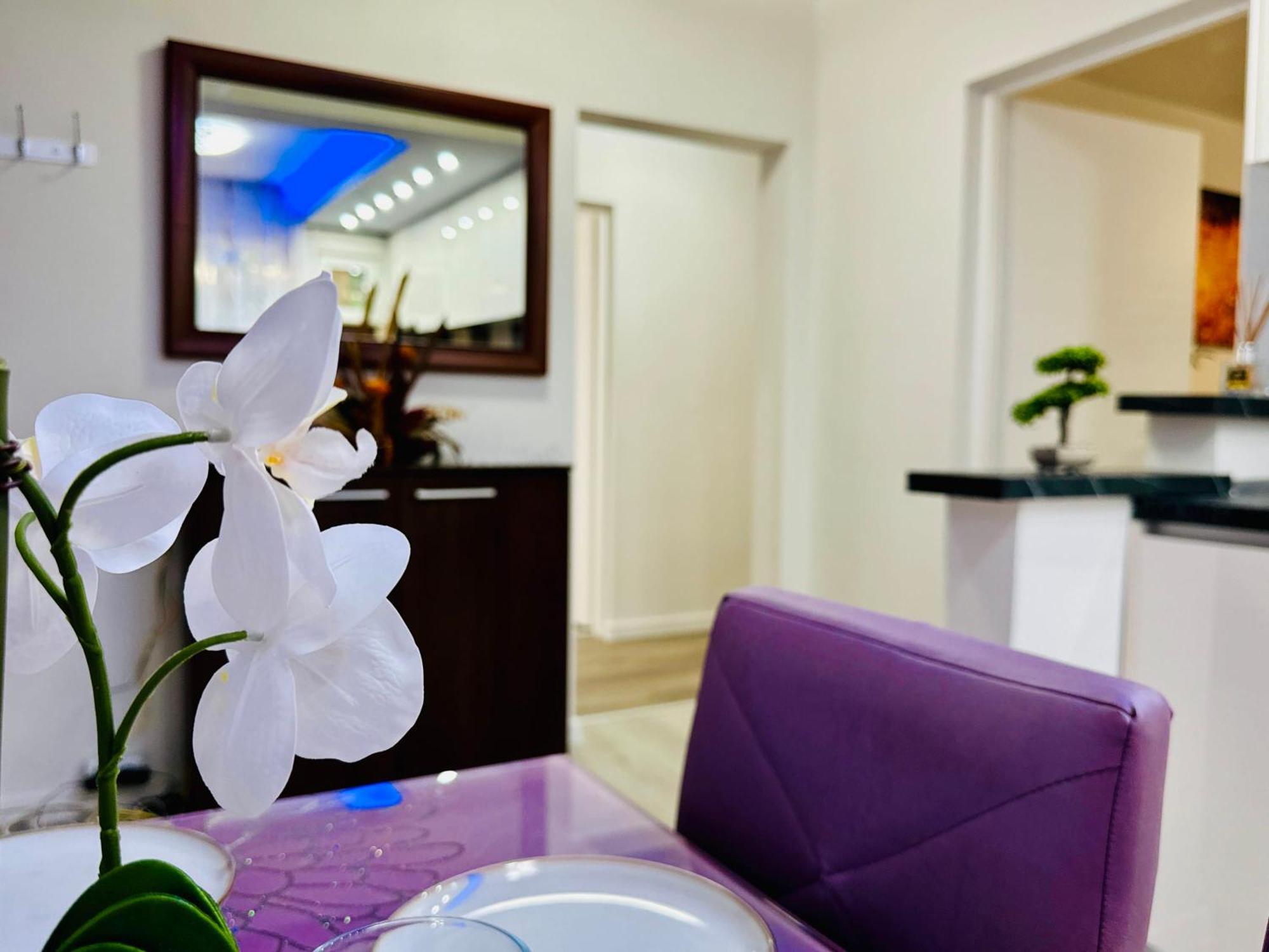 Joy City Stay Spacious Comfortable Timisoara Exterior photo